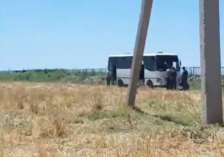 Өзбекстанда 50 градус ыстықта фермерлерді автобусқа қамап қойған (видео)