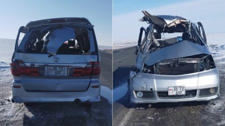 Toyota Alphard аударылып, екі адам қаза тапты