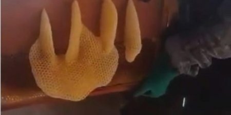 Алланың аты жазылған араның ұясы көпшілікті таңғалдырды (видео)