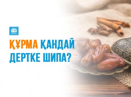 Құрма қандай дертке шипа?