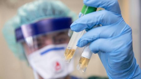 Қызылордада өткен тәулікте 43 адамнан коронавирус анықталды