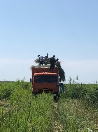 Жалағашта пробация қызметі есебіндегілер Арал ауданына көмек көрсетті