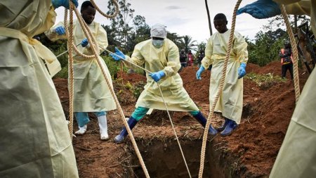Африка мемлекетінде Эбола вирусы тарап жатыр