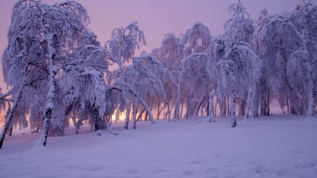 Бейсенбі күнге арналған ауа райы болжамы