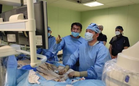 Қызылорда: Ең қымбат жүрек импланттары МӘМС аясында қолжетімді