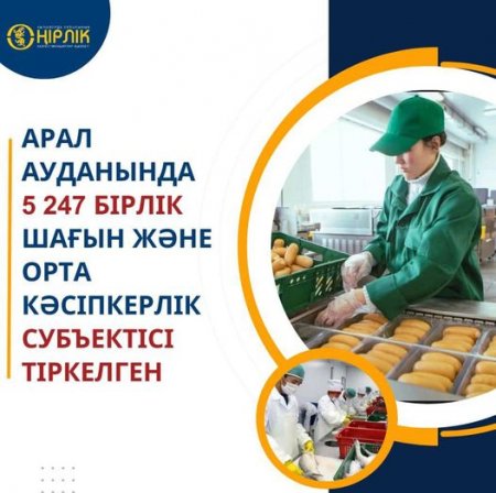 Арал ауданында 5247 шағын және орта кәсіпкерлік субъектісі тіркелген