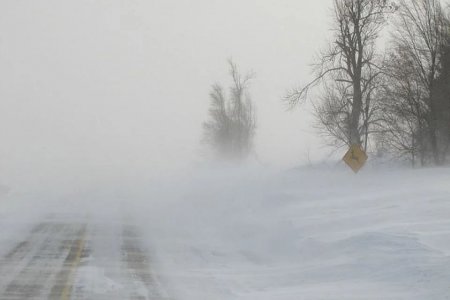 Синоптиктер еліміздің 15 өңірінде дауылды ескерту жариялады