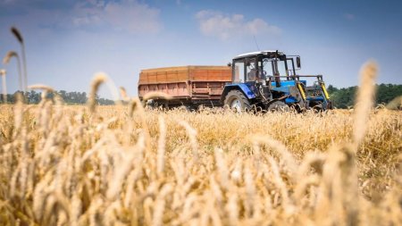 Бүгін – ауыл шаруашылығы, тамақ және қайта өңдеу өнеркәсібі қызметкерлерінің күні