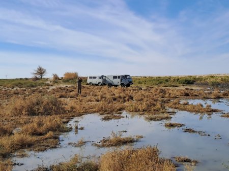 Барсакелмес қорығындағы Үйлестіру кеңесінің жаңа құрамы бекітілді