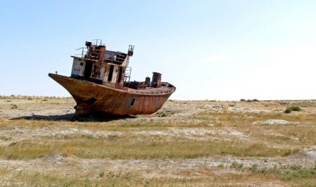 Алтай Айнабек шынымен Аралды толтырды ма, вице-министр не дейді?