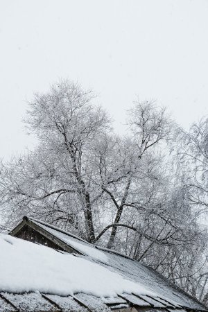 Алдағы демалыс күндері ауа райы қандай болады?