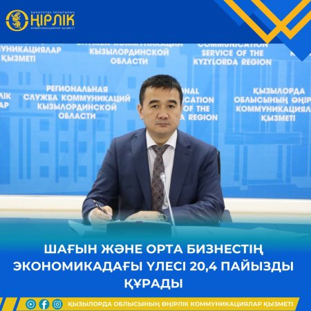 Шағын және орта бизнестің экономикадағы үлесі 20,4 пайызды құрады