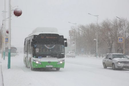 Жапонияда рекордтық мөлшерде қар жауды