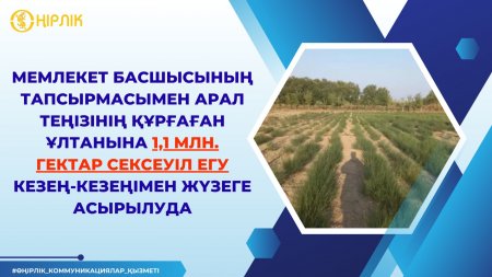 Арал теңізінің тартылған аумағын көгалдандыру кезең-кезеңімен жүзеге асырылуда