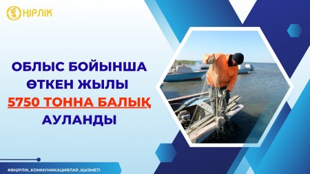 Жасыл белдеулер – Аралды шөлейттенуден сақтаудың жолы