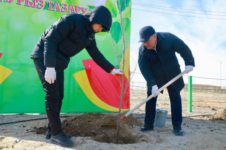 Ауданда тазалық және тал егу акциялары өтті