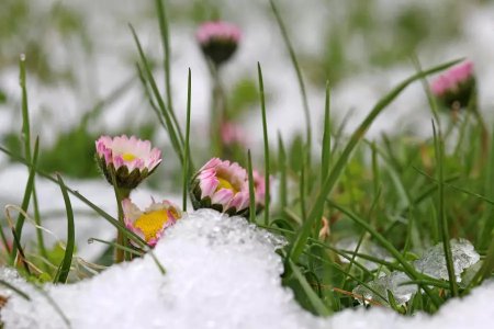 19 сәуірге арналған ауа-райы болжамы қандай?