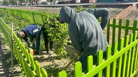 "Таза Қазақстан": Игі бастаманың оң нәтижесі