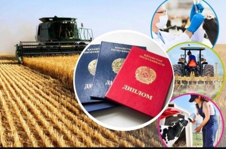 «Дипломмен ауылға» бағдарламасы 2025 жылы 2,8 мың жас маманды тұрғын үймен қамтамасыз етеді