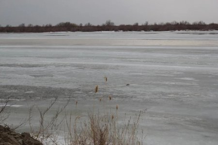 Қызылордада он бір жасар бала суға батып кетті