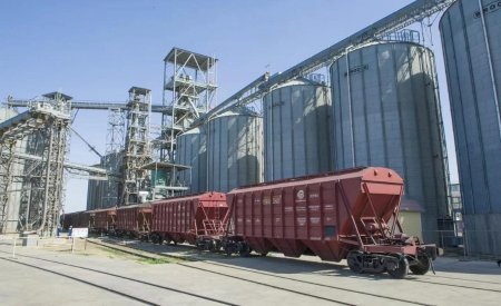 Жаңа астық экспорты 7,6 млн тоннаға жетті