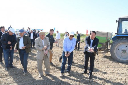 Қазалыда егін даласына алғашқы дән себілді