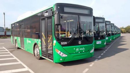 Қоғамдық көліктегі мәдениет: жастар жауапкершілігі