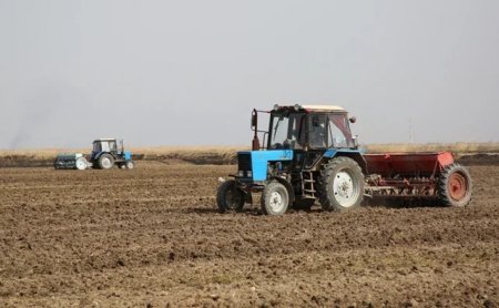 Елімізде егіс науқаны сәтті аяқталды