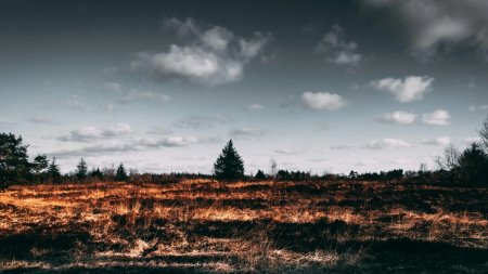 Сербияда бір күнде 620 табиғи өрт тіркелді
