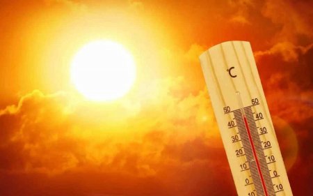 Өзбекстанда бір жарым ғасырда болмаған аптап ыстық тіркелді