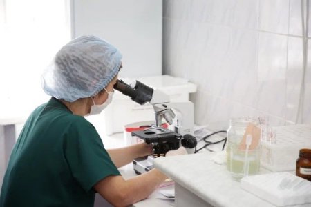 Сібір жарасы қандай жолдармен жұғады?