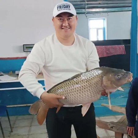 Балыққа да бап керек