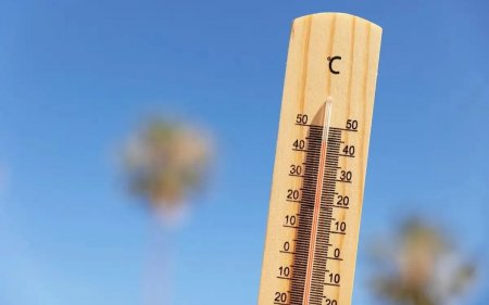 42°С ыстық болады: алдағы үш күнге арналған ауа райы болжамы