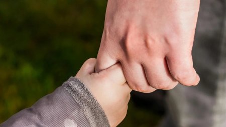 Германияда баласы жоқ азаматтар үшін сақтандыру жарнасы қымбаттады