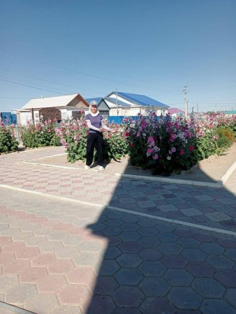 Тазалық жұмыстары жүргізілуде