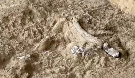Грузияда ежелгі адамның сүйегі табылды