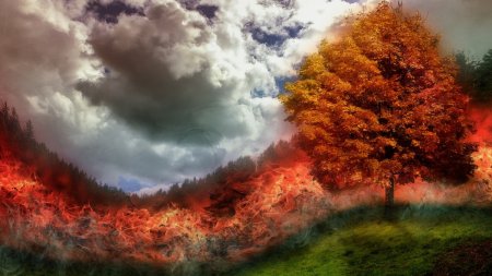 Еуропаның оңтүстігінде орман өрті өршіп барады