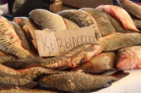 Астана қаласында Қызылорда облысының тауар өндірушілерінің қатысуымен ауыл шаруашылығы өнімдерінің жәрмеңкесі өтуде