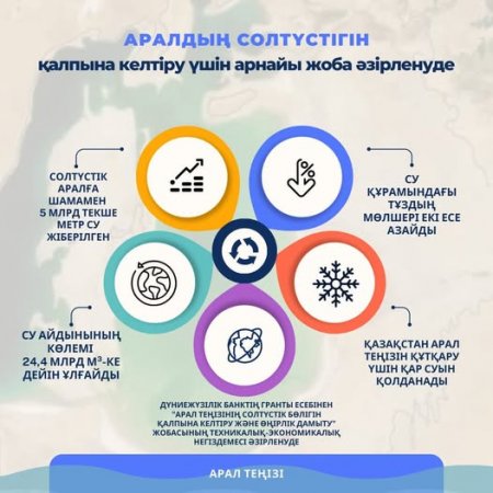 Аралдың солтүстігін қалпына келтіру үшін арнайы жоба әзірленуде