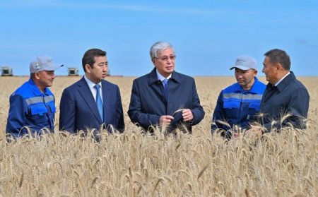 Мемлекет басшысы Ақмола облысындағы егін жинау науқанымен танысты