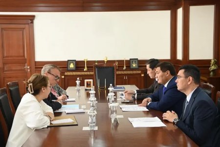 Аймақ басшысы Дүниежүзілік Денсаулық сақтау ұйымының өкілдерімен кездесті