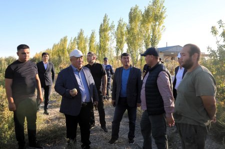 Аудан әкімі тау бөктеріндегі толымды жұмыстармен танысты