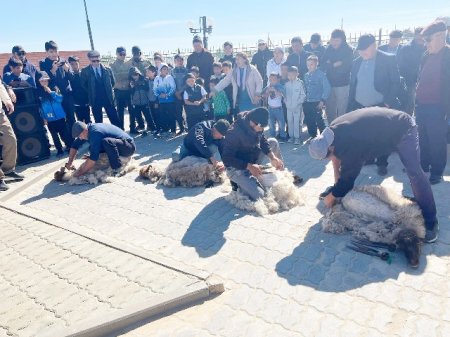 Асығы алшысынан түскен ауыл