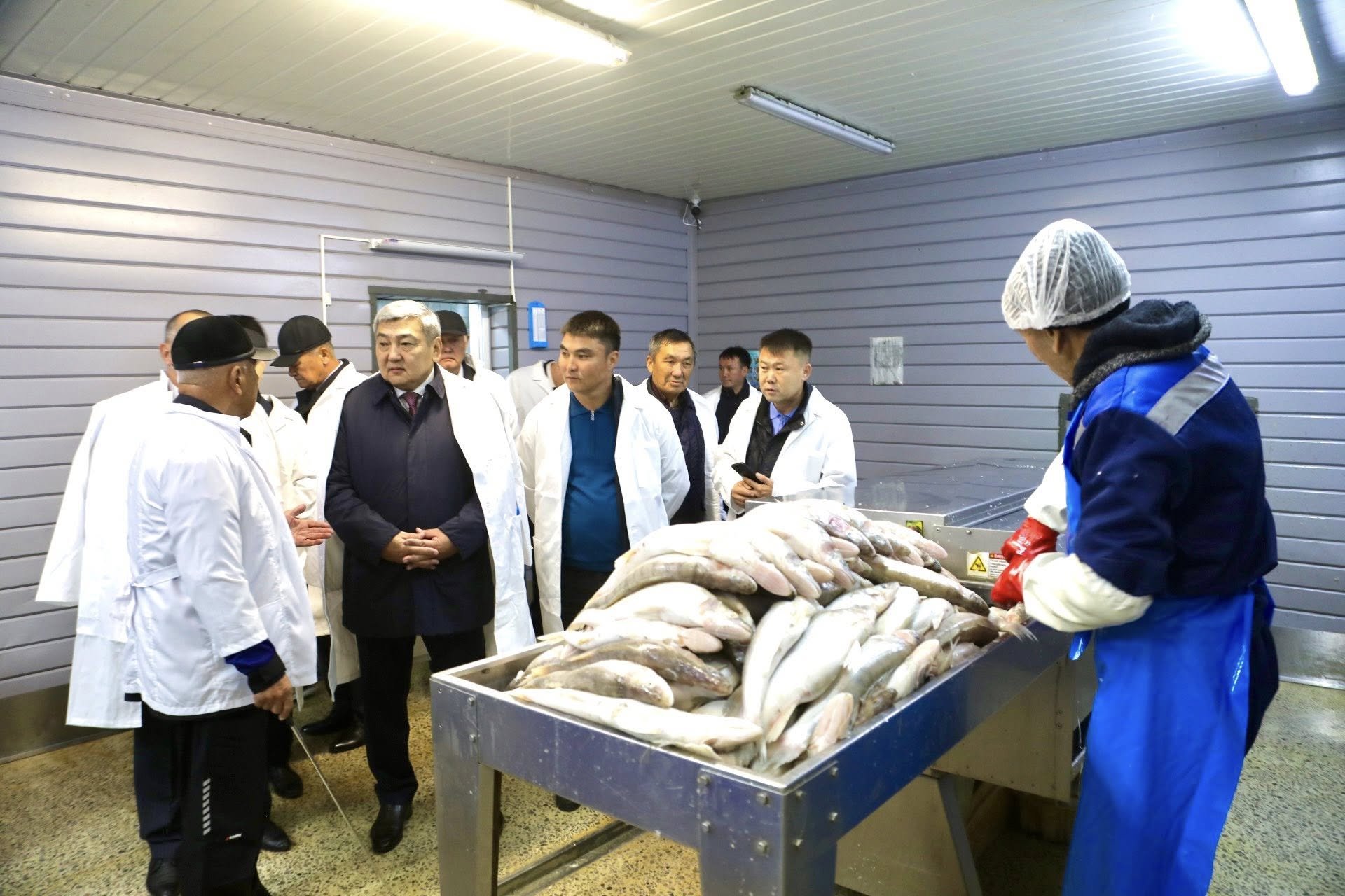 Балық шаруашылығы өндірісінің 100 жылдығына орай ауданға келген қонақтар балық зауытында болды