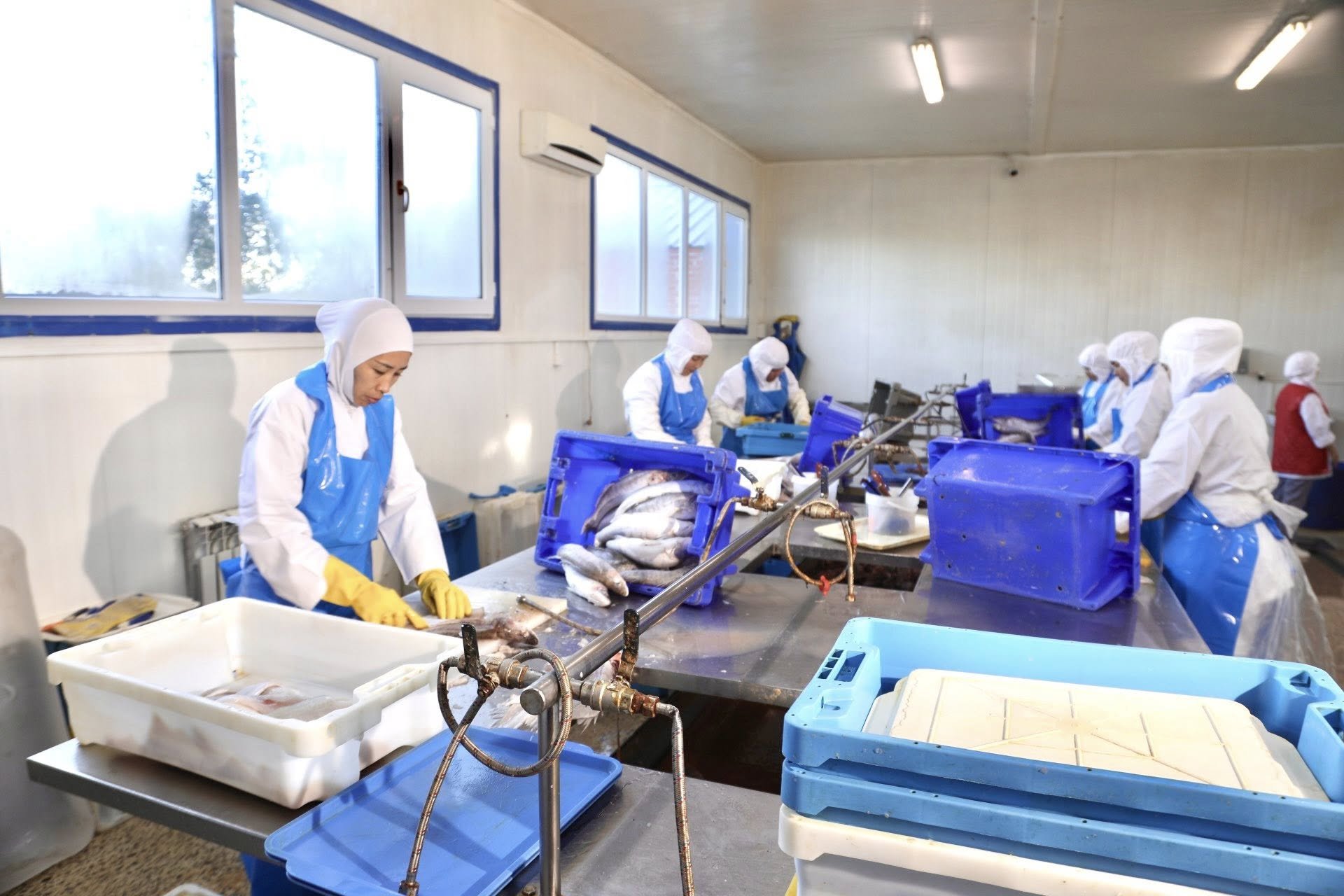 Балық шаруашылығы өндірісінің 100 жылдығына орай ауданға келген қонақтар балық зауытында болды