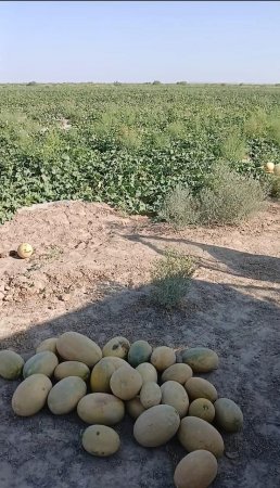 Ақиректе берекелі тірлік бар