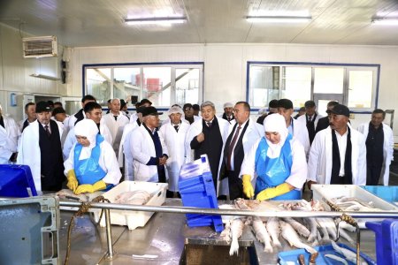 Балық шаруашылығы өндірісінің 100 жылдығына орай ауданға келген қонақтар балық зауытында болды