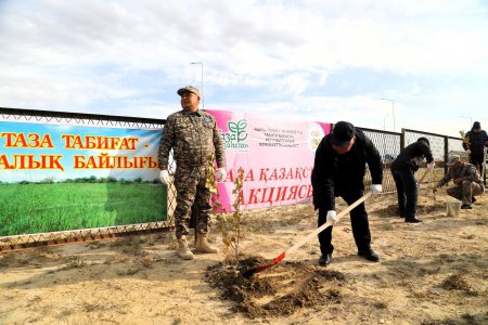 "ТАЗА ҚАЗАҚСТАН" АКЦИЯ АЯСЫНДА АҒАШ КӨШЕТТЕРІ ОТЫРҒЫЗЫЛДЫ