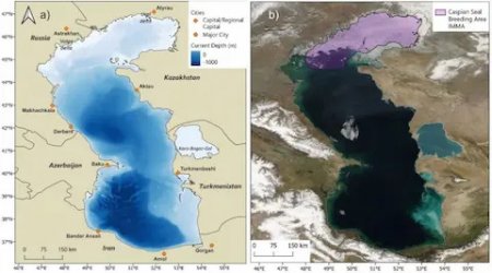 «Каспийді сақтайық!» — Жаңа адамдар теңізді қорғау мақсатында жағалаудағы елдерге үндеу жолдады