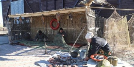 Балықшылар мерекесі, «кеме қалған» және тарпаң құландар